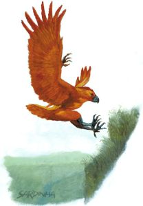 Aarakocra04.jpg
