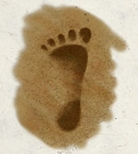 Brandobaris00.jpg